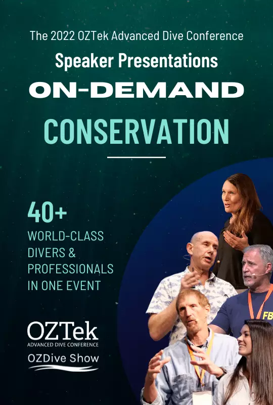 Video On-Demand Conservation